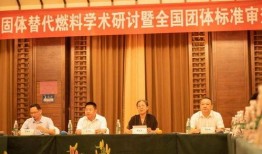 陆河新闻爆料最新情况查询,事件进展及影响全解析